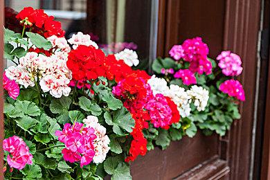 特别好评像素种田游戏《太阳港》1.0登陆Steam